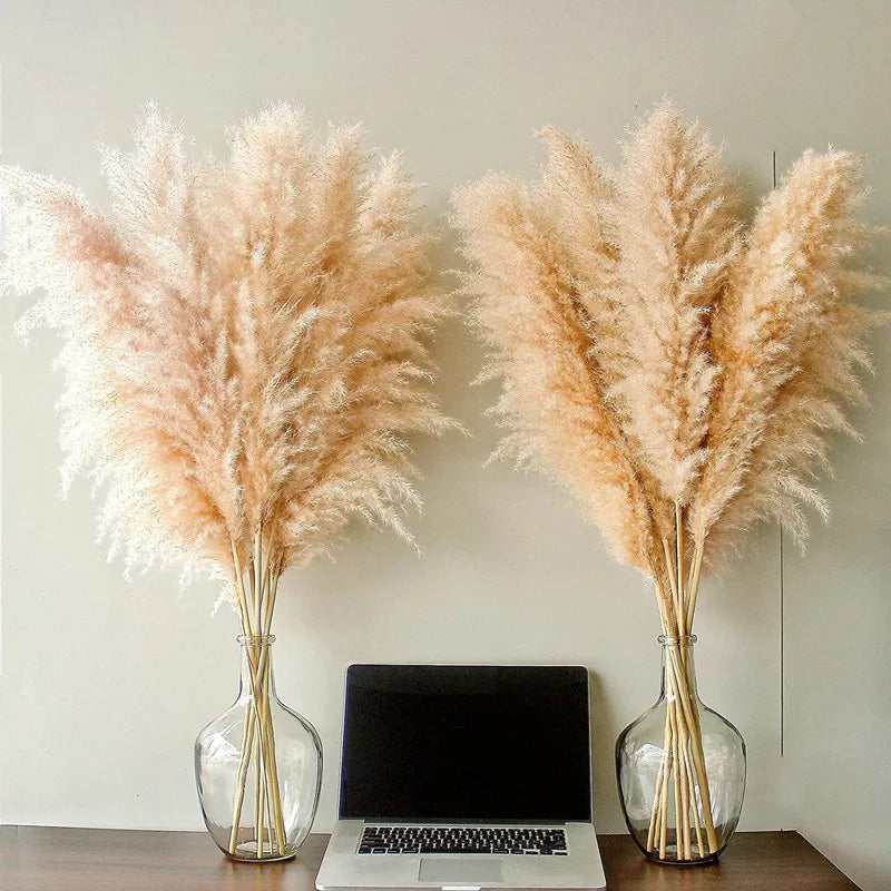 Bloom Dried Pampas Grass Decor