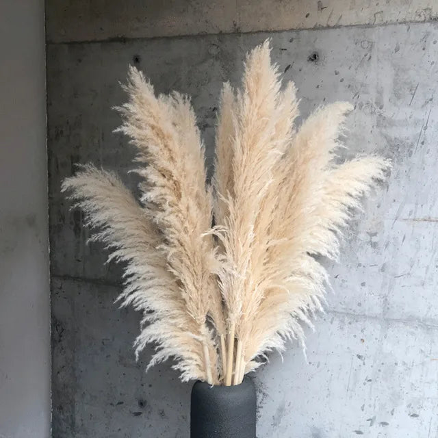 Bloom Dried Pampas Grass Decor