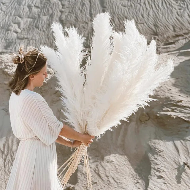 Bloom Dried Pampas Grass Decor