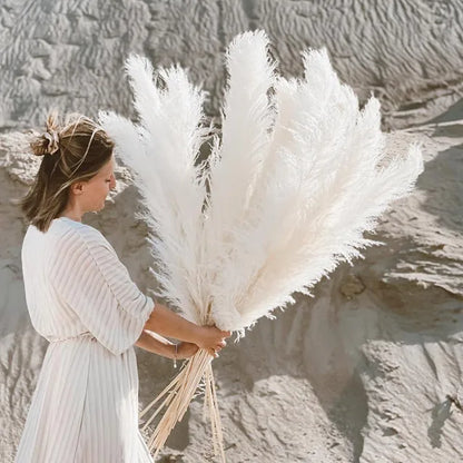 Bloom Dried Pampas Grass Decor