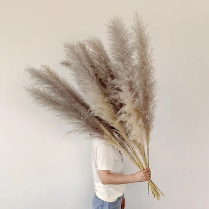 Bloom Dried Pampas Grass Decor