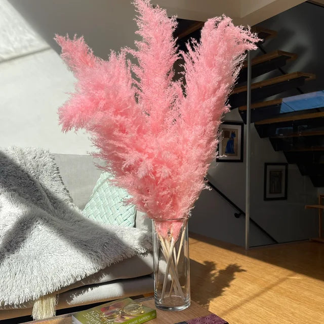 Bloom Dried Pampas Grass Decor