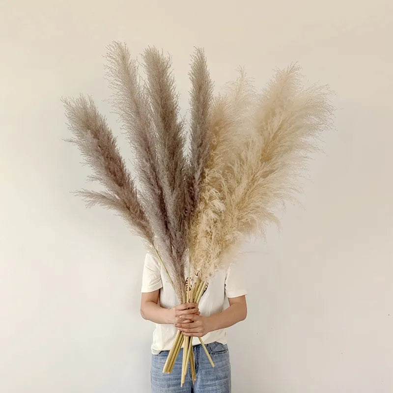 Bloom Dried Pampas Grass Decor